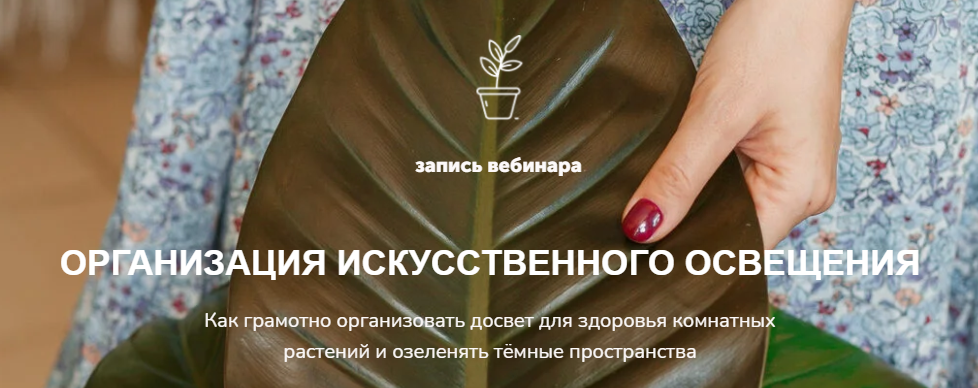 [Наталья Серова] Организация искусственного освеще_0.png